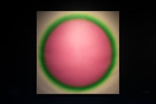 <p>Wystawa &bdquo;Wojciech Fangor: American Dream&rdquo; w Krupa Art Foundation w Rynku</p>