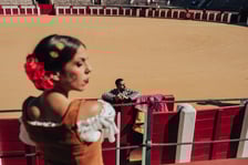 <p>Barcelona Flamenco Ballet, Carmen</p>