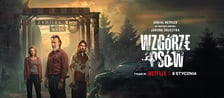 Plakat serialu „Wzgórze psów” Netflixa