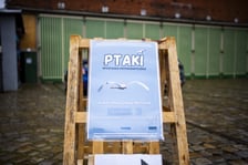 Wystawa fotografii wielkoformatowych Mieczysława Michalaka pod tytułem Ptaki