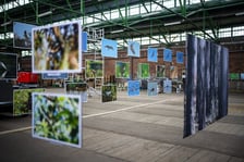 Wystawa fotografii wielkoformatowych Mieczysława Michalaka pod tytułem Ptaki