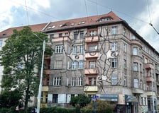 Neuroornament Anity Sieradzkiej z ASP Wrocław