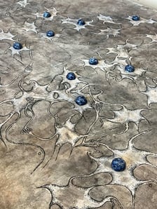 Neuroornament Anity Sieradzkiej z ASP Wrocław