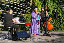 <p>Koncert z cyklu Muzyczne Parki Wrocławia - Sępolno, Emose Uhunmwangho, 24 sierpnia</p>