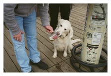 <p>Jedna z fotografii z pierwszego albumu kolektywu fotograficznego kolektywu &bdquo;Z bliska&rdquo;</p>