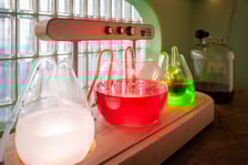 W Żyjni przed otwarciem, 22 stycznia 2026