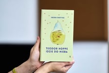 <p>Iwona Partyka, &bdquo;Teodor Hoppe idzie do nieba&rdquo;, Wydawnictwo Amaltea</p>