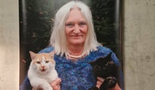 Wystawa „Porcelana jeszcze Inaczej”, Wrocław, Bulvary