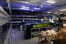 Trzmiel, sklep akwarystyczny na Nowym Dworze we Wrocławiu