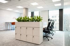 Natek Poland, dostawca usług IT i outsourcingu, otworzył nowe biuro we Wrocławiu