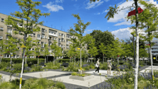 Plac Nowy Targ