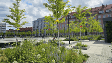 Plac Nowy Targ