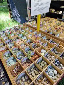 Strefa Rękodzieła na Festiwalu Pasibrzucha 2025