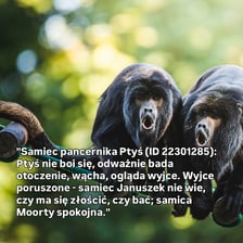 Fragment z raportów przygotowywanych we wrocławskim zoo