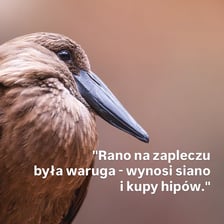 Fragment z raportów przygotowywanych we wrocławskim zoo