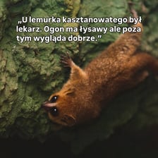 Fragment z raportów przygotowywanych we wrocławskim zoo