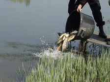 <p>Łowisko Park Glinianki</p>