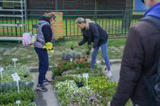 <p>Kiermasz ogrodniczy "Pamiętajcie o ogrodach" na Partynicach, Wrocław 26.04.2026.</p>