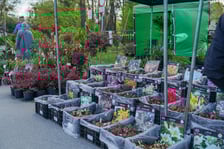 <p>Kiermasz ogrodniczy "Pamiętajcie o ogrodach" na Partynicach, Wrocław 26.04.2026.</p>