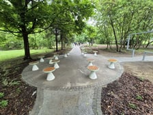 <p>Park Młodych Ekolog&oacute;w przy Alei Kasprowicza we Wrocławiu</p>