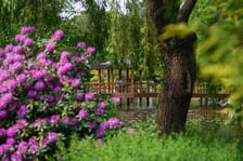 <p>Ogr&oacute;d Japoński we Wrocławiu, 24.05.2026</p>