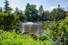 <p>Ogr&oacute;d Japoński we Wrocławiu, 24.05.2026</p>