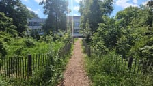 Wrocławski mikrolas Miyawaki
