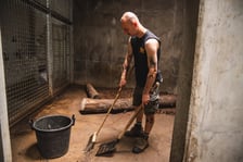 Praca opiekunów ssaków drapieżnych we wrocławskim zoo