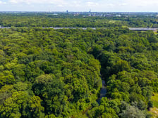 <p>Rezerwat w Lesie Pilczyckim - widok z drona</p>
