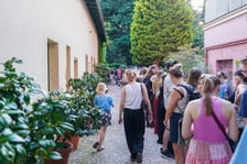 Kwitnące dziwidło olbrzymie z Ogrodu Botanicznego UWr wieczorem 25 czerwca 2026 r.