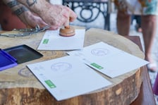 Kwitnące dziwidło olbrzymie z Ogrodu Botanicznego UWr wieczorem 25 czerwca 2026 r.