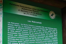Las Mokrzański to największy las w granicach administracyjnych Wrocławia. Zajmuje powierzchnię ponad 550 hektarów