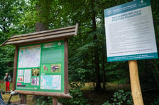 Las Mokrzański to największy las w granicach administracyjnych Wrocławia. Zajmuje powierzchnię ponad 550 hektarów
