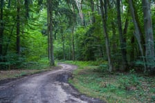 Las Mokrzański to największy las w granicach administracyjnych Wrocławia. Zajmuje powierzchnię ponad 550 hektarów