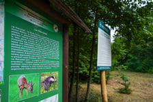 Las Mokrzański to największy las w granicach administracyjnych Wrocławia. Zajmuje powierzchnię ponad 550 hektarów
