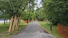 <p>Park Szczytnicki - zabezpieczenie zieleni przed pracami remontowymi, lipiec 2026</p>