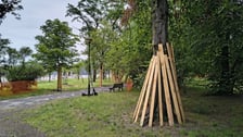 <p>Park Szczytnicki - zabezpieczenie zieleni przed pracami remontowymi, lipiec 2026</p>
