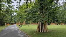 <p>Park Szczytnicki - zabezpieczenie zieleni przed pracami remontowymi, lipiec 2026</p>