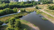 Park Krzycki we Wrocławiu, lipiec 2026