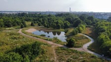 Park Krzycki we Wrocławiu, lipiec 2026