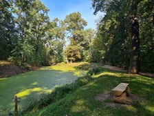 Park Świetlików
