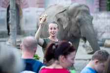 Anna Konieczko, opiekunka z sekcji zwierząt kopytnych wrocławskiego zoo