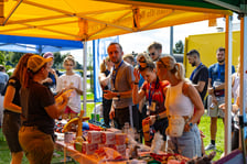 <p>Forever Run. Charytatywny bieg w Lesie Osobowickim i piknik&nbsp; dla zwierzak&oacute;w ze schroniska przy Ślazowej. Wrocław, 30.08.2026</p>