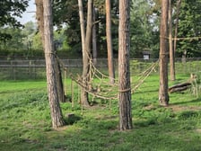 Wybieg magotów we wrocławskim zoo, sierpień 2026