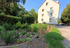 Wrocławskie Mieszkania prowadzą program rekultywacji i zagospodarowania terenów zielonych