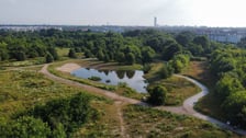 Park Krzycki we Wrocławiu