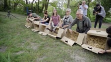 Wypuszczanie podgorzałek na Stawach Milickich