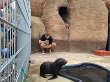 Nowy mieszkaniec Zoo Wrocław to kotik afrykański. Otrzymał imię Alfie