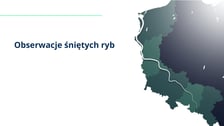 raport w sprawie katastrofy ekologicznej na Odrze