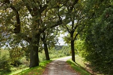 najczęściej park Biskupiński, inaczej zwany Nadodrzańskim
